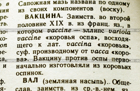 Вакцина. Значение слова. Школьный этимологический словарь русского языка. Стоковое фото, фотограф Щеголева Ольга / Фотобанк Лори