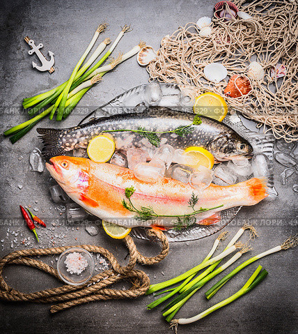 Variety of  Great raw trout fish in glass dish with ice cubes on concrete background with fishing net and flavoring, top view. Seafood cooking. Стоковое фото, агентство Ingram Publishing / Фотобанк Лори