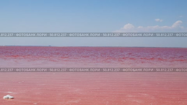 Vast expanse of vibrant pink water under a clear blue sky, with gentle waves creating ripples, showcasing the unique beauty of this surreal natural landscape. Sasyk-Sivash Lake. Стоковое видео, видеограф Ирина Ручушкина / Фотобанк Лори