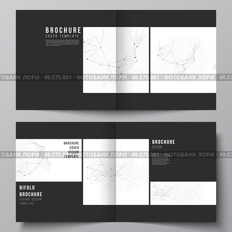 Vector layout of two covers templates for square bifold brochure, flyer, magazine, cover design, book design, brochure cover. Gray technology background with connecting lines and dots. Network concept.. Vector layout of two covers templates for square bifold brochure, flyer, magazine, cover design, book design, brochure cover. Gray technology background with connecting lines and dots. Network concept. Стоковая иллюстрация, агентство Ingram Publishing / Фотобанк Лори