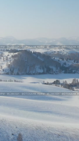 Vertical Aerial video from drone on winter snow landscape. Biryuksinsky mountain pass in Altai. Стоковое видео, видеограф Сергей Пристяжнюк (Serg Zastavkin) / Фотобанк Лори