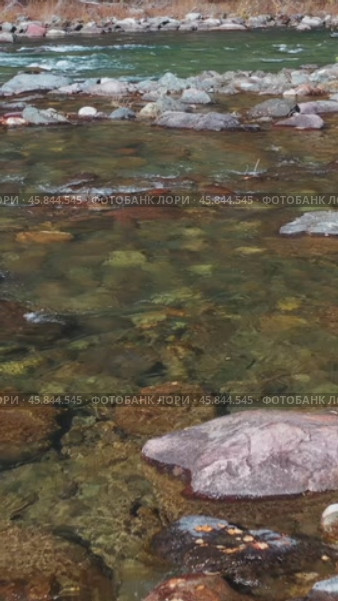 Vertical drone video of Altai river Kumir. Camera moves over water at a low altitude. Стоковое видео, видеограф Сергей Пристяжнюк (Serg Zastavkin) / Фотобанк Лори
