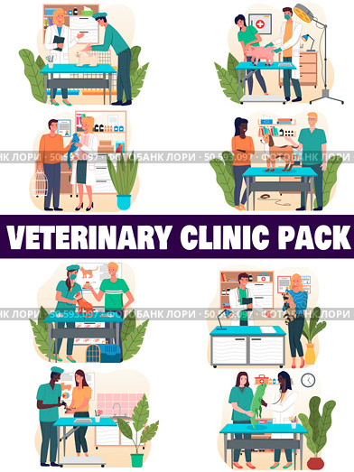 Veterinary clinic cartoon pictorial infographics with reception desk waiting room pets owners veterinarian checkup surgery vector illustration. Стоковая иллюстрация, агентство Ingram Publishing / Фотобанк Лори