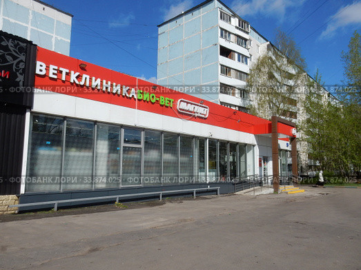 Ветклиника "Био Вет", универсам "Магнит" (Алтайская улица, 17а). Девятиэтажный четырёхподъездный панельный жилой дом серии I-515/9Ш (Алтайская улица, 19). Район Гольяново. Город Москва (2020 год). Редакционное фото, фотограф lana1501 / Фотобанк Лори