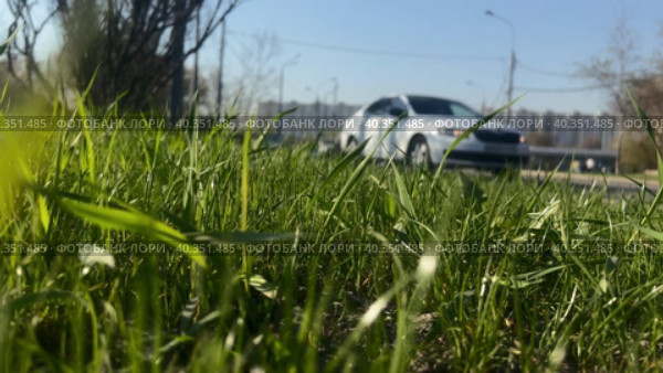 Вид на автодорогу в городе сквозь зеленую траву на на газоне.  Городской траффик. Стоковое видео, видеограф Ярославский Максим / Фотобанк Лори
