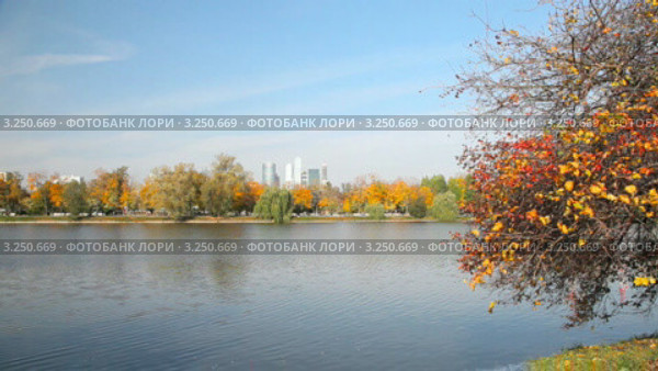 Вид на Новодевичий пруд в Москве. Стоковое видео, видеограф Кирилл Трифонов / Фотобанк Лори