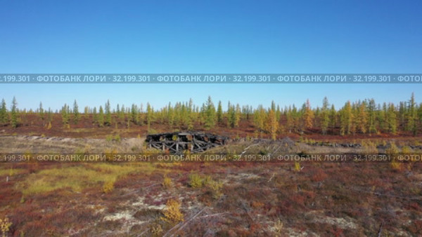 Вид осенним днем на старый железнодорожный мост железной дороги "Чум - Салехард - Игарка" сталинской 501-й стройки ГУЛАГ. Ямало-Ненецкий автономный округ. Стоковое видео, видеограф Григорий Писоцкий / Фотобанк Лори