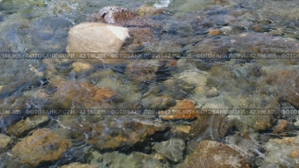 Video of Altai river Bashkaus. Drone moves sideways and camera looks down. Стоковое видео, видеограф Сергей Пристяжнюк (Serg Zastavkin) / Фотобанк Лори
