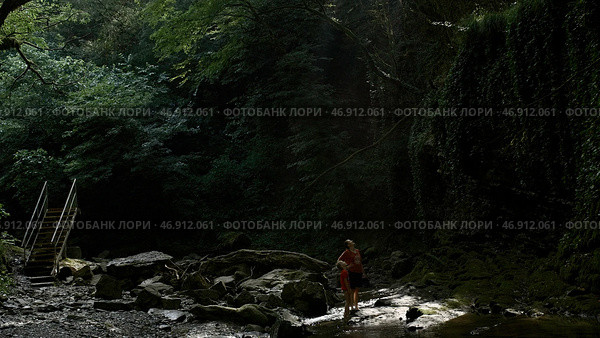 View inside of green jungles, concept of travelling and wild nature. Стоковое фото, фотограф David Kashakhi / Фотобанк Лори