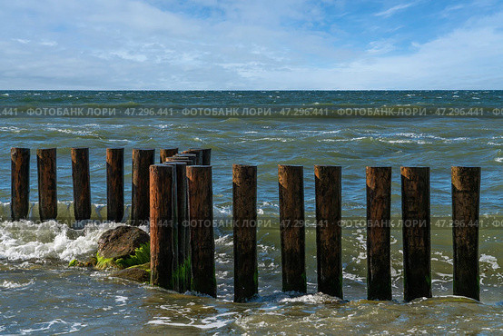 View of the Baltic Sea and wooden breakwaters of the city beach on a sunny summer day, Svetlogorsk, Kaliningrad region, Russia. Стоковое фото, фотограф Ula Ulachka / Фотобанк Лори