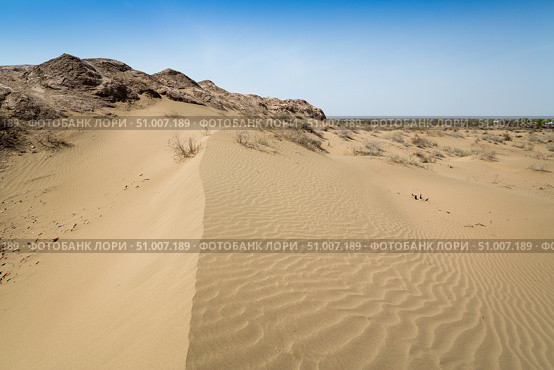 View of the desert in Karakalpakstan (2022 год). Стоковое фото, фотограф Юлия Белоусова / Фотобанк Лори