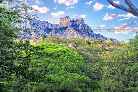 View of the famous Mount Ay Petri Крым гора Ай Петри (2020 год). Стоковое фото, фотограф Владимир Ушаров / Фотобанк Лори