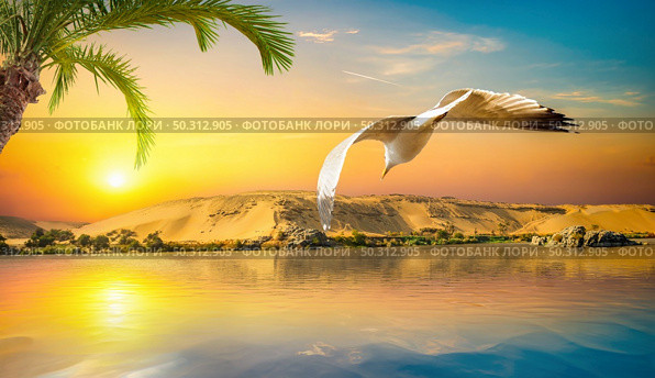 View of the Great Nile in Aswan at sunset. Sandy hills of Luxor. Стоковое фото, агентство Ingram Publishing / Фотобанк Лори
