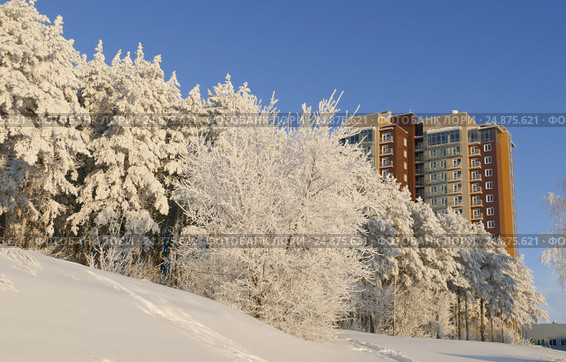 View on the modern high rise apartment building through snowy forest in winter sunny day. Стоковое фото, фотограф Сергей Дорошенко / Фотобанк Лори