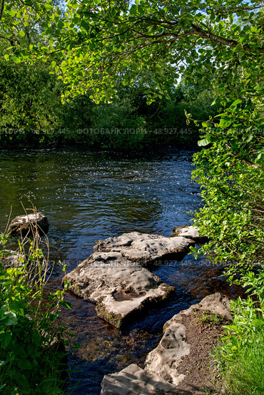 View on the river Liffey in the summer time. Стоковое фото, фотограф Татьяна Кахилл / Фотобанк Лори