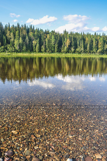 Virgin Komi forests, picturesque banks of the river Shchugor (2016 год). Редакционное фото, фотограф Сергей Дрозд / Фотобанк Лори