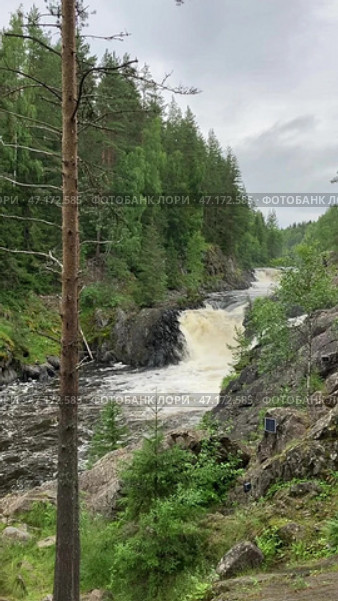 Водопад Кивач в Карелии (2024 год). Редакционное видео, видеограф Ирина Курносова / Фотобанк Лори