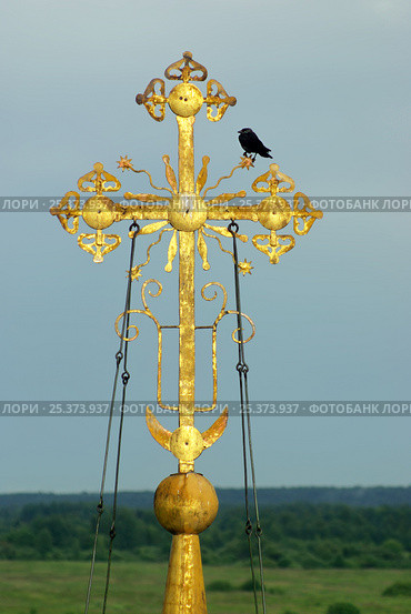 Ворона на купольном кресте православной церкви. Стоковое фото, фотограф Oles Kolodyazhnyy / Фотобанк Лори