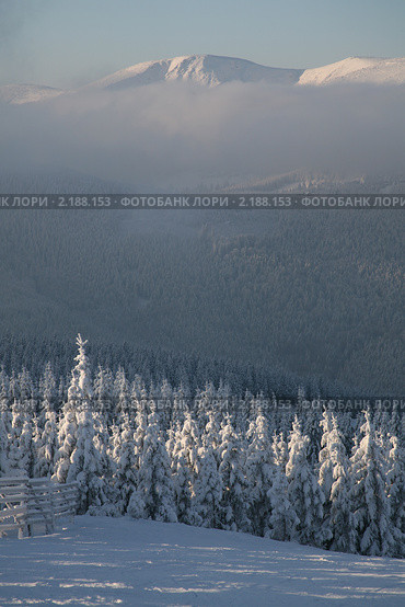 Восточная Богемия. Зимний пейзаж (2010 год). Стоковое фото, фотограф Gagara / Фотобанк Лори