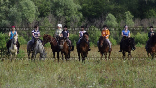 Всадники практикуют выездку лошадей в поле. Riders practice dressage horse in the field. Стоковое видео, видеограф Евгений Романов / Фотобанк Лори