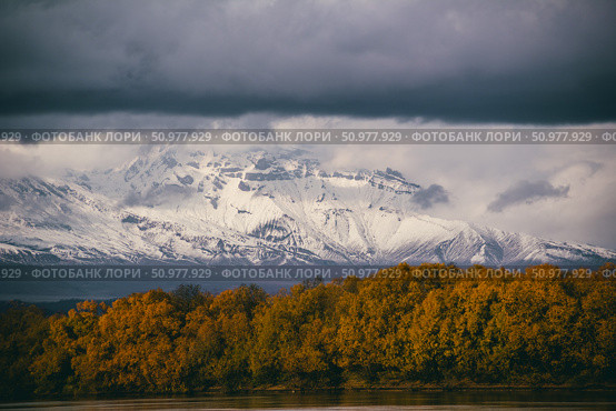 Вулкан Шивелуч осенью, поселок Ключи, Камчатский край, Россия. Shiveluch volcano in autumn, Klyuchi village, Kamchatka Krai, Russia. Стоковое фото, фотограф Валентина Игнатенко / Фотобанк Лори