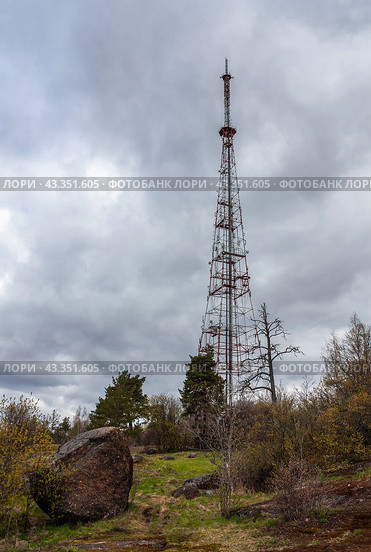 Выборгская телебашня на горе Папула (2024 год). Стоковое фото, фотограф Елена Арсентьева / Фотобанк Лори
