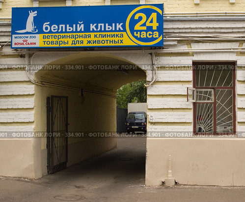 Вывеска ветеринарной клиники "Белый Клык", Москва (2008 год). Редакционное фото, фотограф Артем Ефимов / Фотобанк Лори