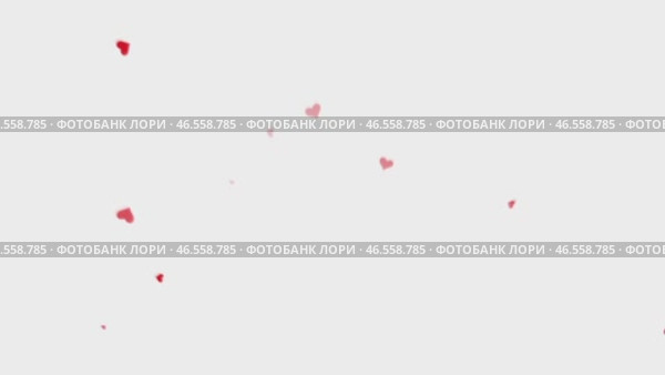 Взрыв красных сердец на белом фоне, разлетающихся в разные стороны. Стоковая анимация, аниматор Vladislav_v / Фотобанк Лори