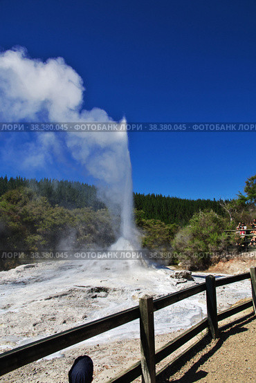 Wai-o-tapu / New Zealand - 18 Dec 2018: Lady knox geyser in wai-o-tapu thermal park, New Zealand. Стоковое фото, фотограф Сергей Стрелков / Фотобанк Лори