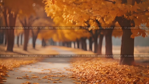 Walk along a path flanked by trees bearing vivid yellow leaves in autumn, creating a stunning visual of seasonal change. Стоковое AI-видео, аниматор Данила Большаков / Фотобанк Лори