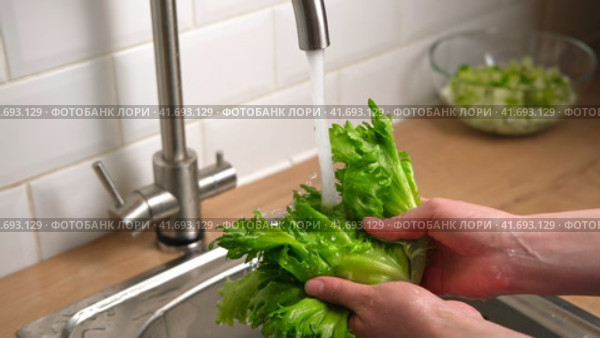 Washing fresh green salad leaves under the faucet in Stylish kitchen sink splashes scatter to the sides. Female hands Rinsing lettuce with Tap Water. Food safety. Preparation of vegan vegetable salad. Стоковое видео, видеограф Марина Демидюк / Фотобанк Лори