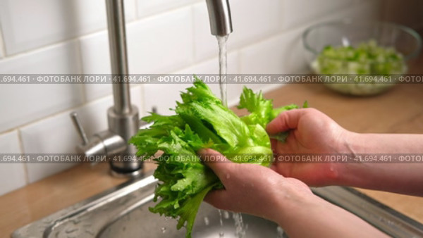 Washing fresh green salad leaves under the faucet in Stylish kitchen sink splashes scatter to the sides. Female hands Rinsing lettuce with Tap Water. Food safety. Preparation of vegan vegetable salad. Стоковое видео, видеограф Марина Демидюк / Фотобанк Лори