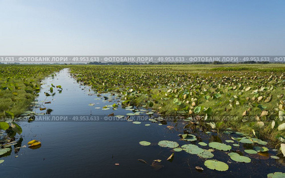 water lake in Thailand. Стоковое фото, агентство Ingram Publishing / Фотобанк Лори
