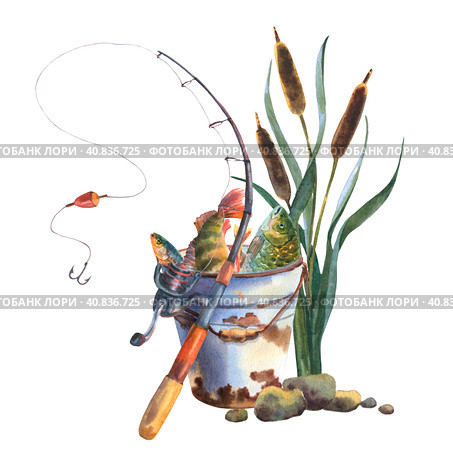 Watercolor omposition with equipment for fishing. Creel, vest, rustic bucket with fish, fishing rod, reel. Vintage fishing watercolor illustration isolated on white background. Стоковая иллюстрация, иллюстратор Брагина Елена / Фотобанк Лори