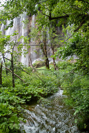 Waterfall Cascade Through Verdant Forest with Stream, Плитвицкие озёра, Хорватия. Стоковое фото, фотограф Данила Большаков / Фотобанк Лори