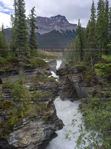 Waterfalls in forest with mountain in the background, Athabasca Falls, Saskatchewan River Crossing, Icefields Parkway, Jasper, Alberta, Canada. Стоковое фото, агентство Ingram Publishing / Фотобанк Лори