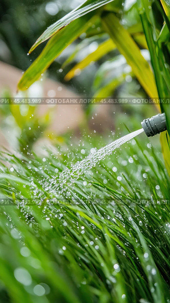 Watering green grass in garden with hose, gardening and irrigation concept. Стоковое AI-изображение, AI-художник Юрий Поздников / Фотобанк Лори