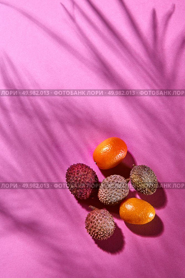 Whole ripe kumquat and lychee on a pink background with a pattern from the shadows. Summer concept. Top view. Tropical Fruits Litchi and Kumquat on a pink paper background with shadows. Top view. Стоковое фото, агентство Ingram Publishing / Фотобанк Лори