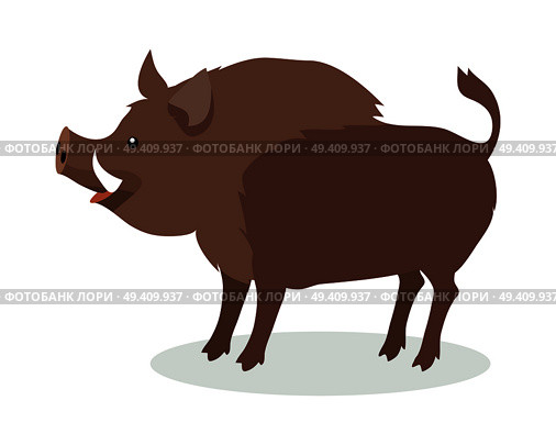 Wild boar cartoon character. Cute boar flat vector isolated on white background. North America and Eurasia fauna. Boar icon. Animal illustration for zoo ad, nature concept, children book illustrating. Стоковая иллюстрация, агентство Ingram Publishing / Фотобанк Лори