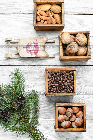 Wild nuts for Christmas. Christmas card with assortments of nuts and decorative sled. Стоковое фото, агентство Ingram Publishing / Фотобанк Лори