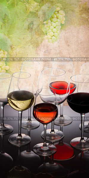 Wine tasting in wine yard, set of glasses with red, white and rose wine close up, grapevine in background. Set of glasses with wine. Стоковое фото, агентство Ingram Publishing / Фотобанк Лори