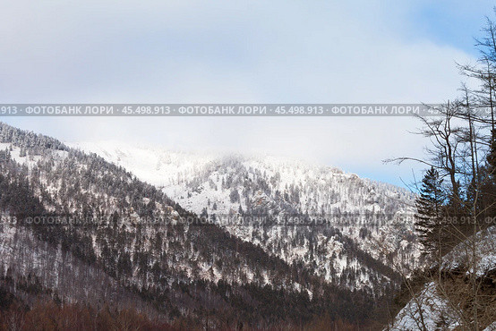 Winter landscape with snow-capped peaks of forested mountains near Goloustnaya River valley on sunny January day. Baikal region, Pribaikalsky national park. Beautiful nature background. Winter travels. Стоковое фото, фотограф Виктория Катьянова / Фотобанк Лори