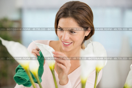 woman caring for arum lilies in her home. Стоковое фото, агентство Ingram Publishing / Фотобанк Лори