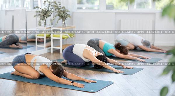 Woman doing restful pose Balasana at group yoga session. Стоковое фото, фотограф Яков Филимонов / Фотобанк Лори