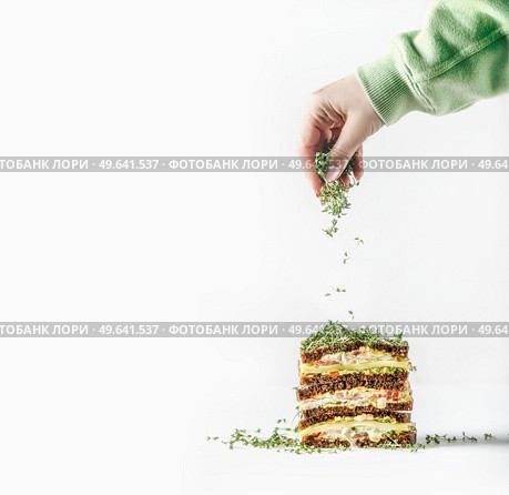 Woman hand sprinkles fresh cress sprouts above layered club sandwich at white background. Preparing healthy lunch.  Front view. Стоковое фото, агентство Ingram Publishing / Фотобанк Лори