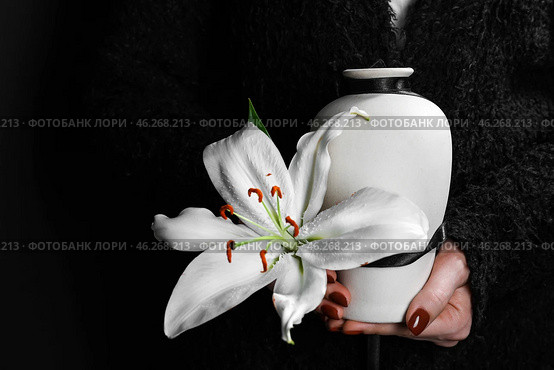 Woman holding mortuary urn with lily flower, closeup. Стоковое фото, фотограф Pixel_shot / Фотобанк Лори