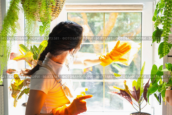Woman in rubber gloves and apron close-up manually washes window of house with rag cleaner and mop inside interior with home plants on windowsill. Restoring order and cleanliness, cleaning servise. Стоковое фото, фотограф Ольга Симонова / Фотобанк Лори
