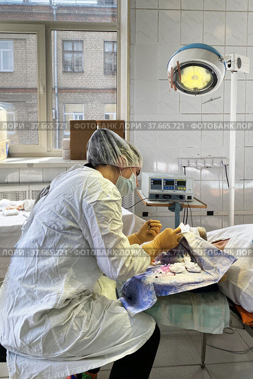 Woman ophthalmologist performs complex surgery operation to restore the cornea of eye. Стоковое фото, фотограф Евгений Ткачёв / Фотобанк Лори