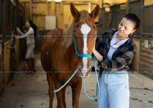 Woman with tethered horse in stable. Стоковое фото, фотограф Яков Филимонов / Фотобанк Лори