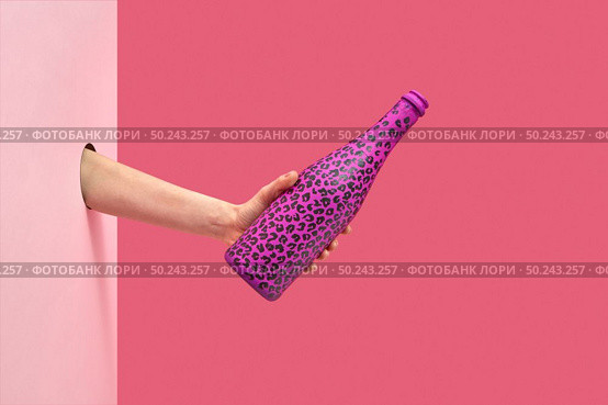 Woman’s hand want to pour wine from painted chanpagne bottle with black spots on a duotone pink background, copy space. Holoday concept.. Painted champagne bottle in a woman’s hand. Стоковое фото, агентство Ingram Publishing / Фотобанк Лори